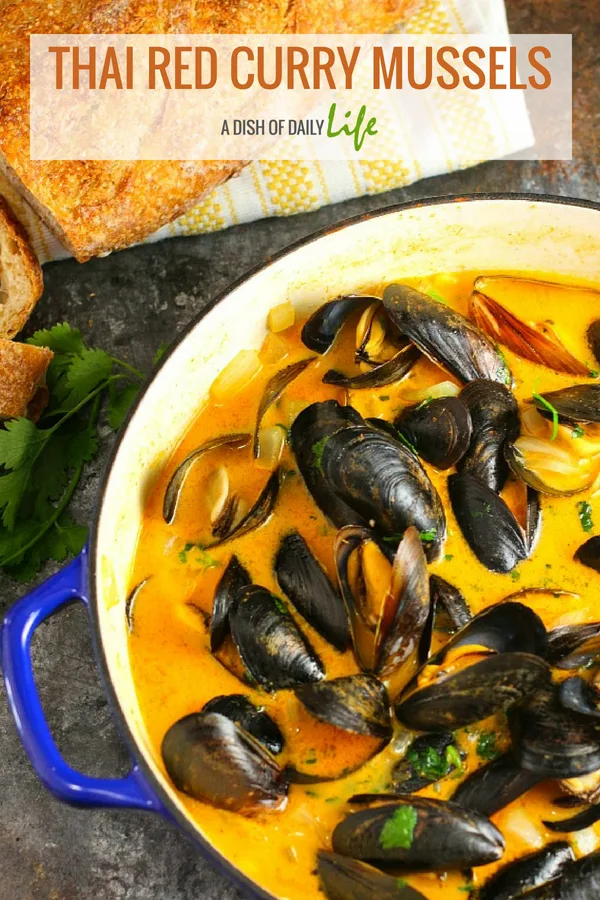 These Thai Red Curry Mussels are steamed in an absolutely mouthwatering broth...you're going to want some crusty bread on hand to mop up that delicious sauce! Easy, inexpensive, and elegant...this is the perfect recipe for special occasions and lovely as a main dish as well.! #Thai | Seafood | #Mussels | #PartyRecipes | #Appetizer | #MainDish | #FathersDay | #NewYearsEve | #Christmas | #romanticdinner | #holidayappetizer