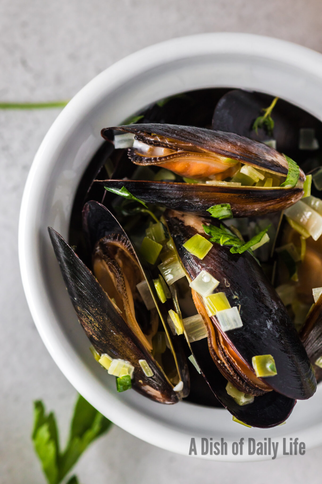 Mussels in Cream Sauce A Dish of Daily Life