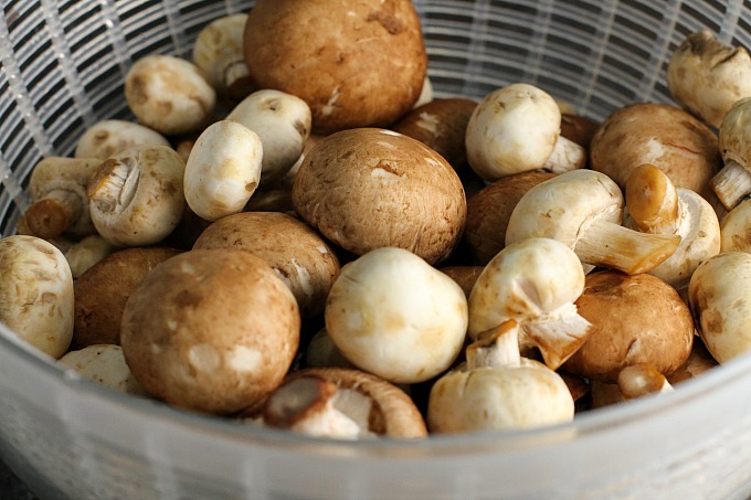 Cleaning mushrooms doesn't have to be time consuming. Learn how to clean mushrooms in minutes with this simple kitchen tip! This truly is the easiest way to clean mushrooms! #mushrooms #cleaningmushrooms #kitchentip