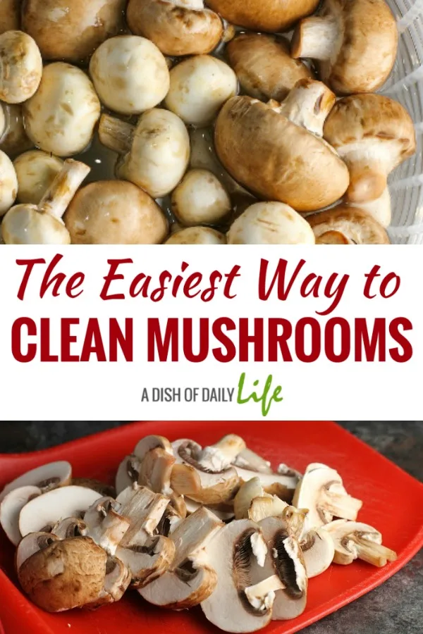 Learn how to clean mushrooms in minutes with this simple kitchen tip. This truly is the easiest way to clean mushrooms! #mushrooms #kitchentip 