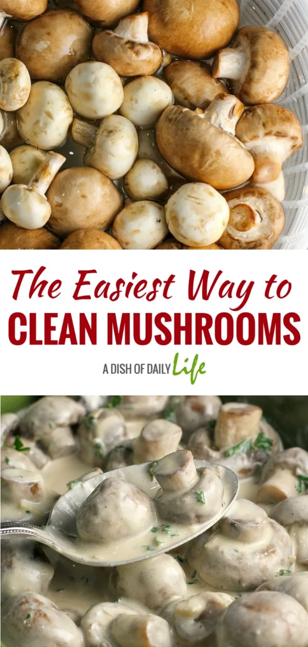 Learn how to clean mushrooms in minutes with this simple kitchen tip. This truly is the easiest way to clean mushrooms! #mushrooms #kitchentip 