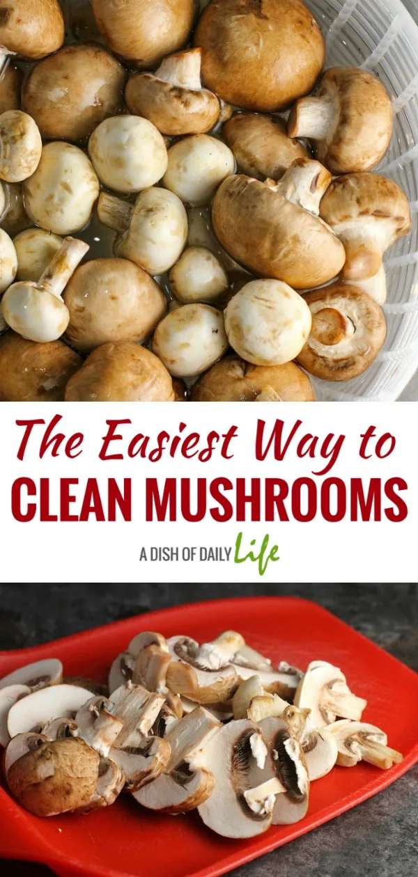 Learn how to clean mushrooms in minutes with this simple kitchen tip. This truly is the easiest way to clean mushrooms! #mushrooms #kitchentip 
