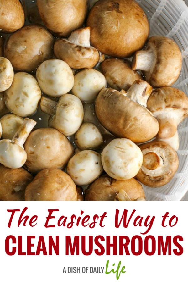 Learn how to clean mushrooms in minutes with this simple kitchen tip. This truly is the easiest way to clean mushrooms! #mushrooms #kitchentip 
