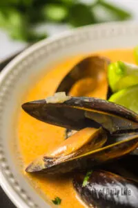 zoomed in image of open clam