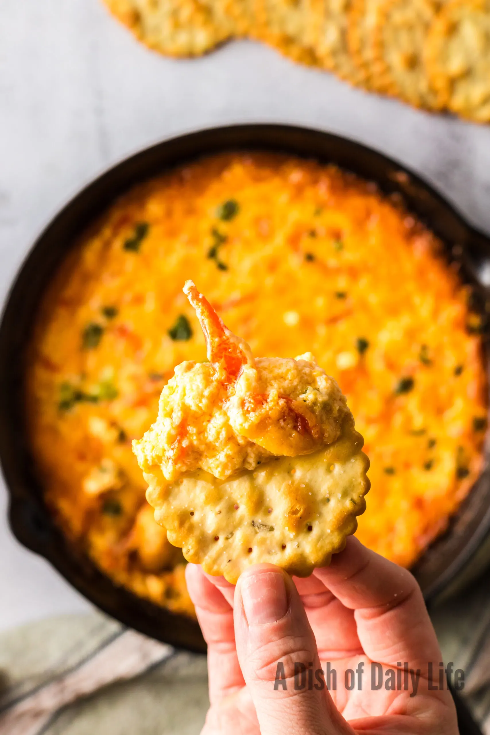 Hand holding cracker with dip on cracker being held up above dip.