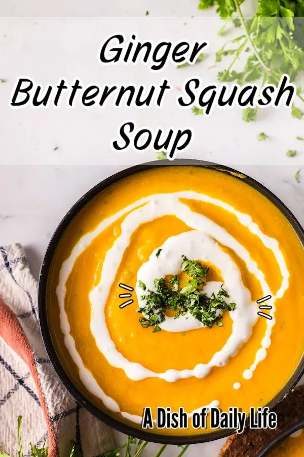 Main image for Ginger Butternut Squash Soup. Image is of soup in a bowl, ready to serve.