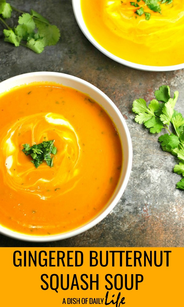 Gingered Butternut Squash Soup…a combination of butternut squash, sweet potato, carrots, and apples, accented by the delicate sweetness of ginger, and finished off with rich, creamy crème fraiche and cilantro. The result? A delicious soup worthy of a special occasion! #butternutsquash #soup #appetizer #holidayrecipes #Thanksgiving #Christmas