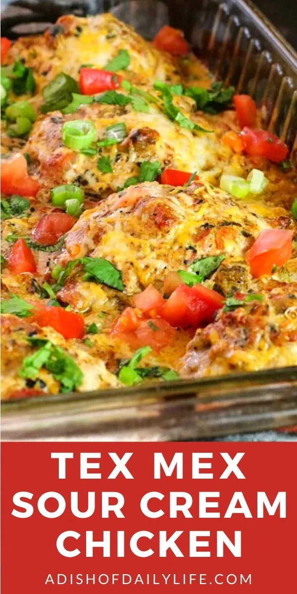 Tex Mex Sour Cream Chicken