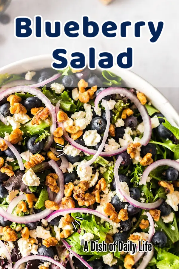 Main image for Blueberry Salad. Salad is in a bowl fully assembled and ready to eat.