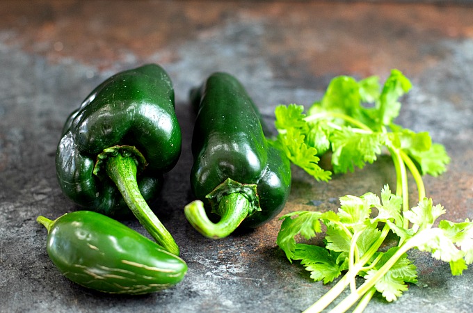 Jalapeño, poblano peppers and cilantro