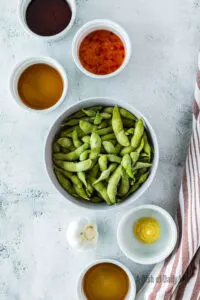 All ingredients laid out on counter