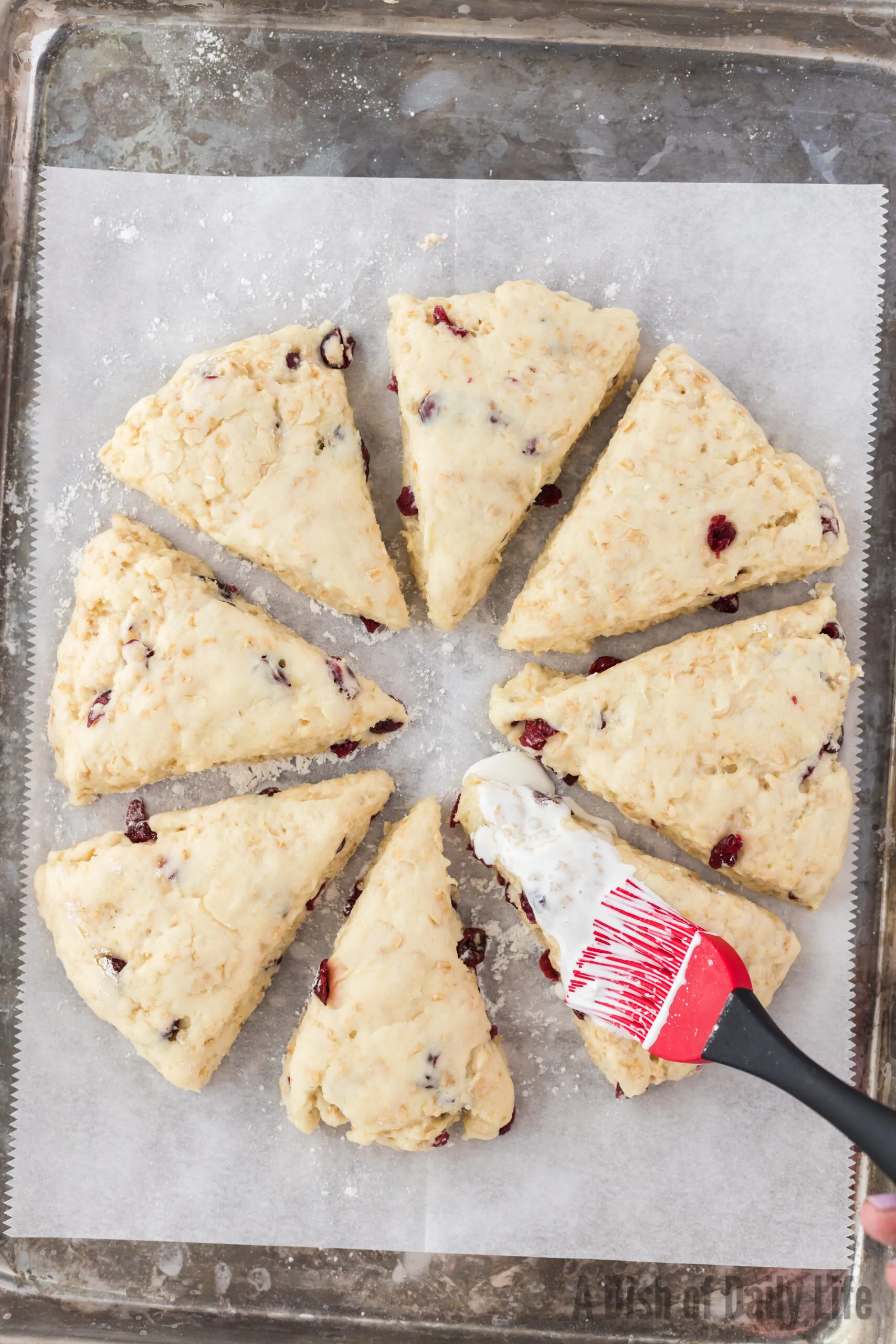 scones spread out with heavy whipping cream brushed out