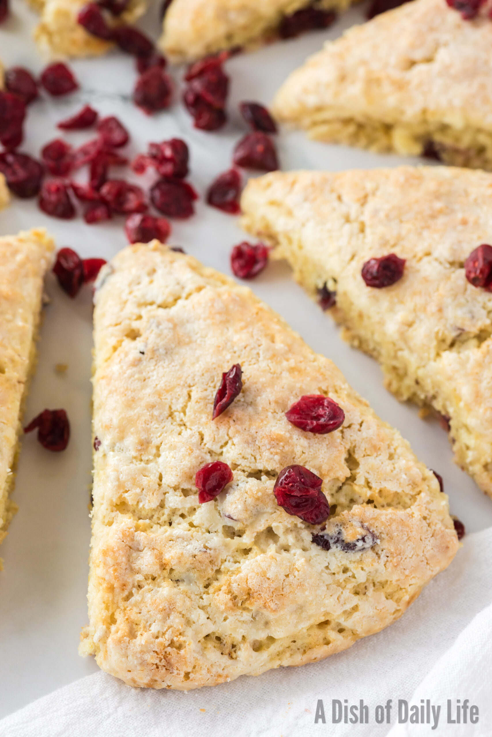 zoomed in image of cranberry oat scones baked and ready to eat