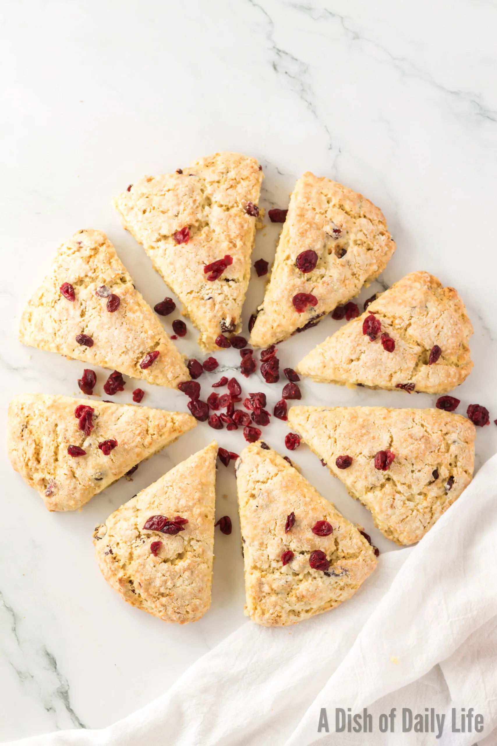 Fresh baked cranberry oat scones