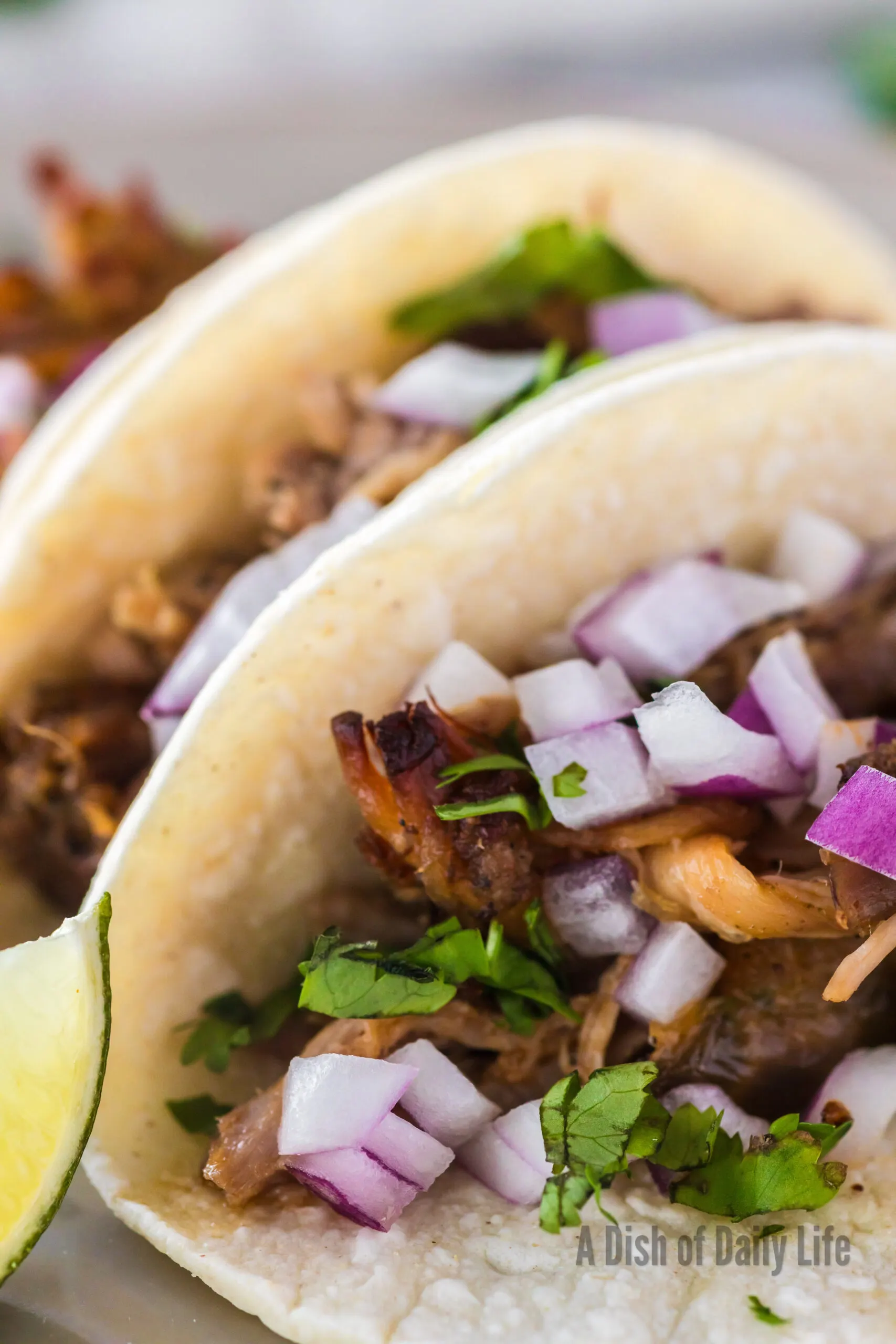 zoomed in image for of 3 pork carnitas