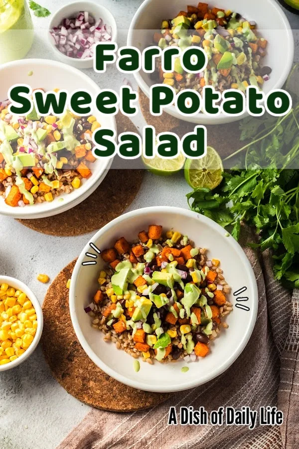 Main image for Farro Sweet Potato Salad