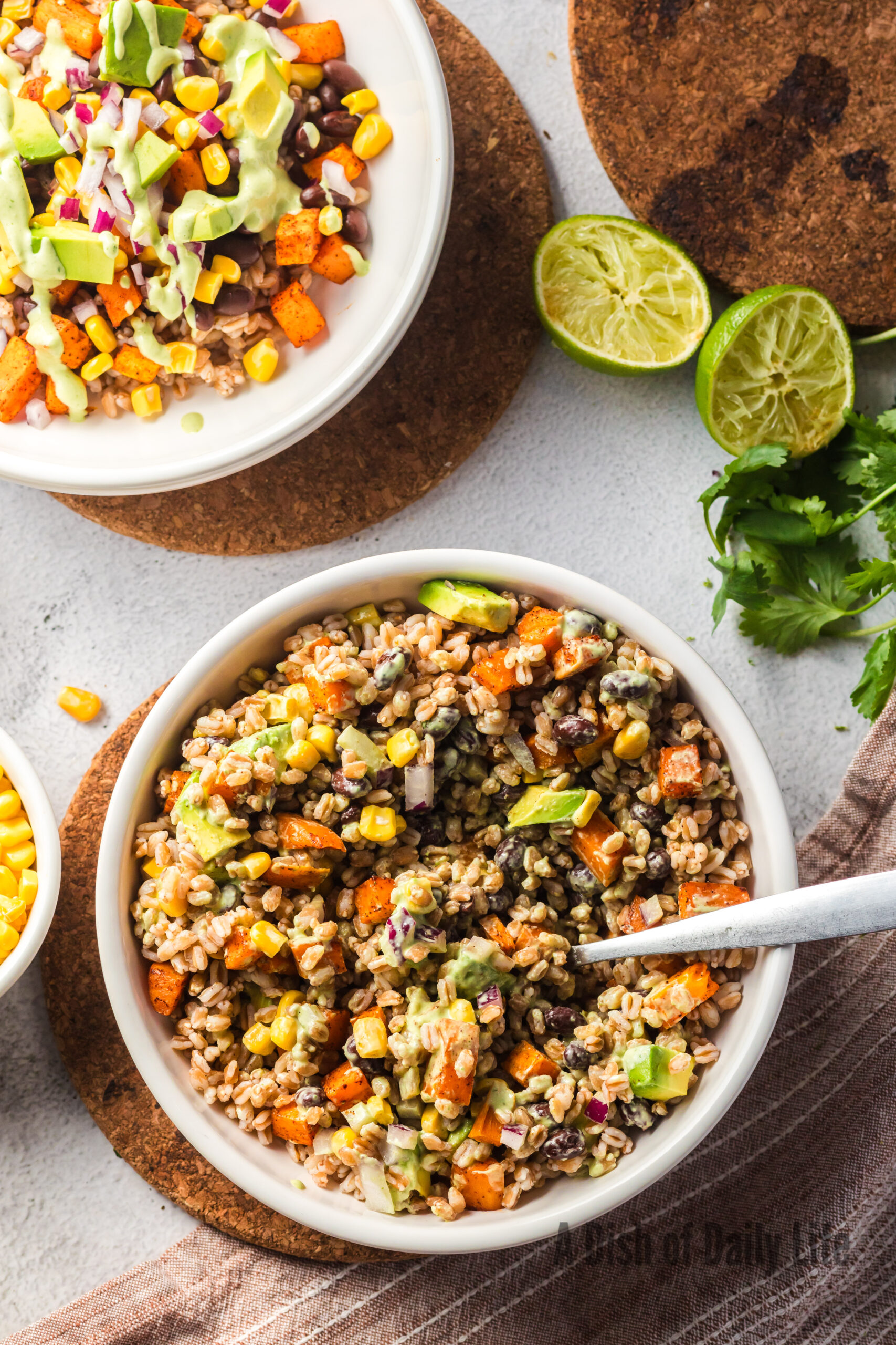 Sweet Potato and Farro Bowl mixed up with dressing ready to enjoy.