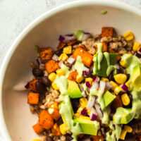zoomed in single image of farro sweet potato bowl