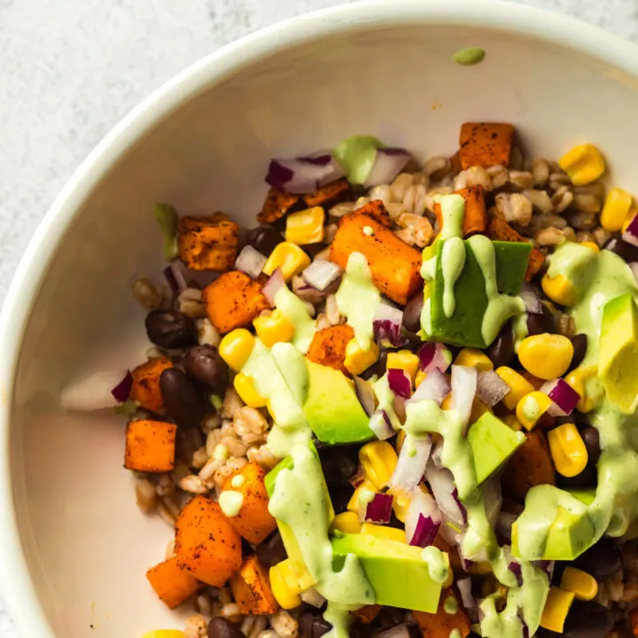 zoomed in single image of farro sweet potato bowl
