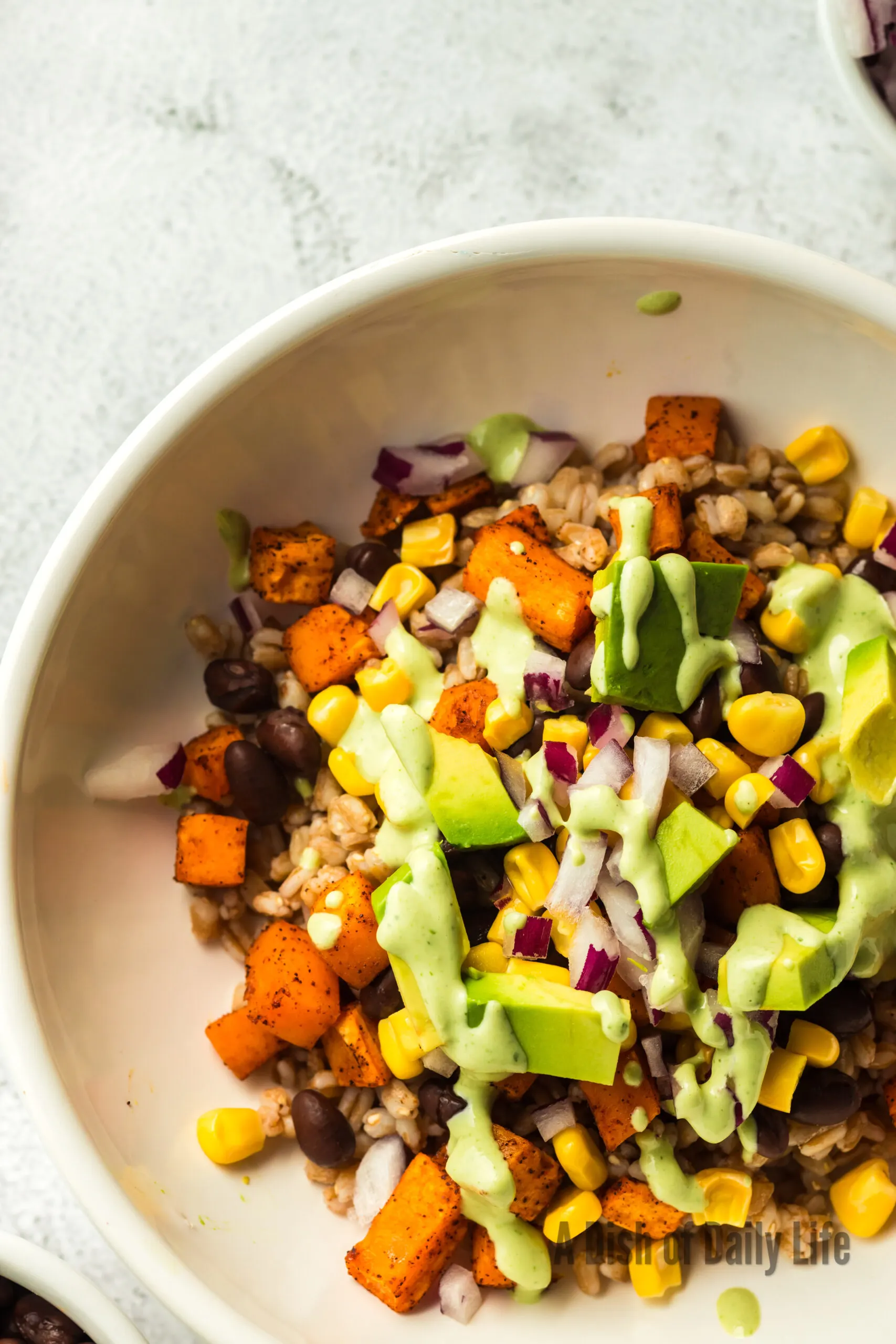 zoomed in single image of farro sweet potato bowl