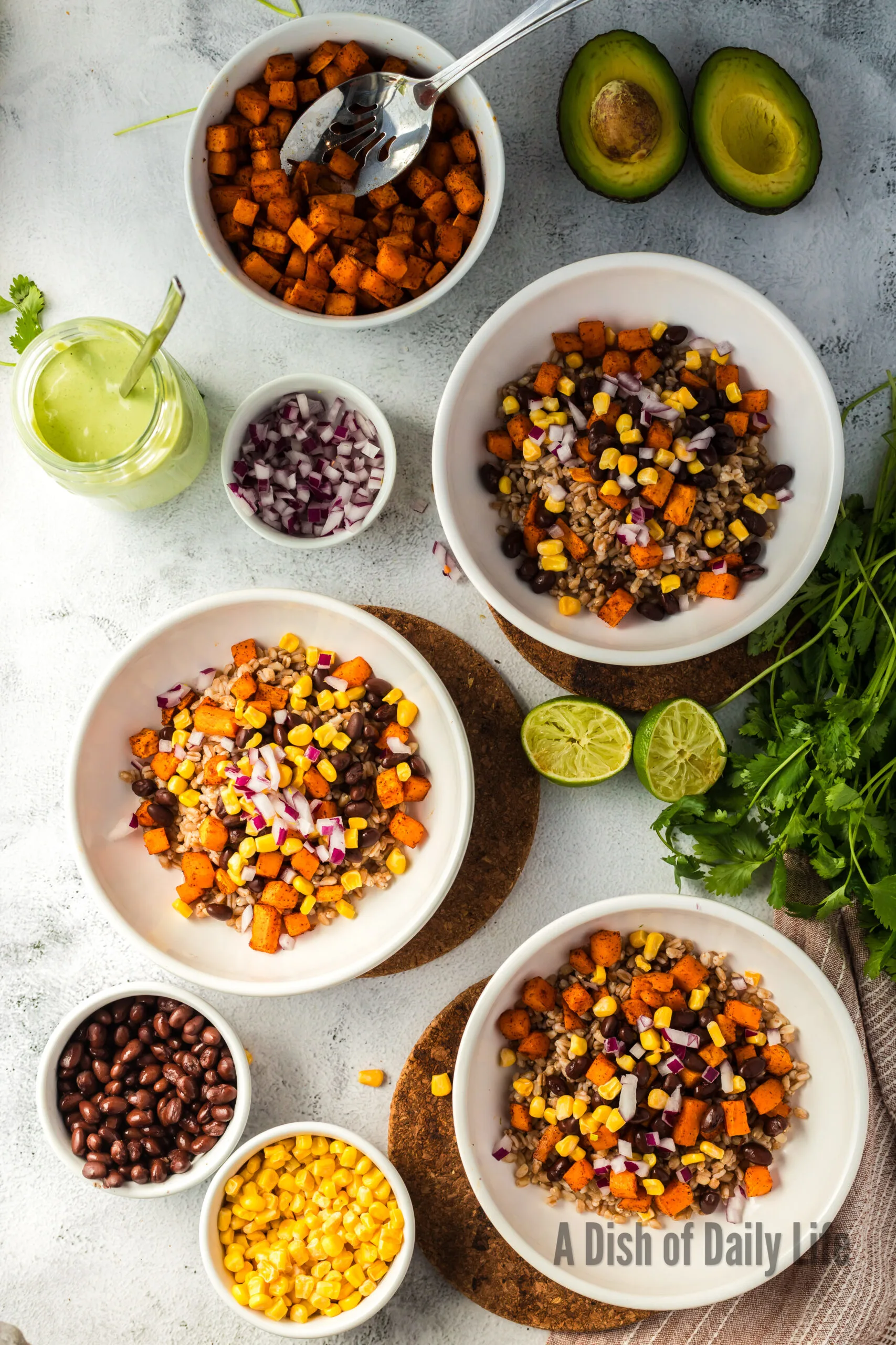 Red Onion added on top of corn, black beans, sweet potatoes and farro