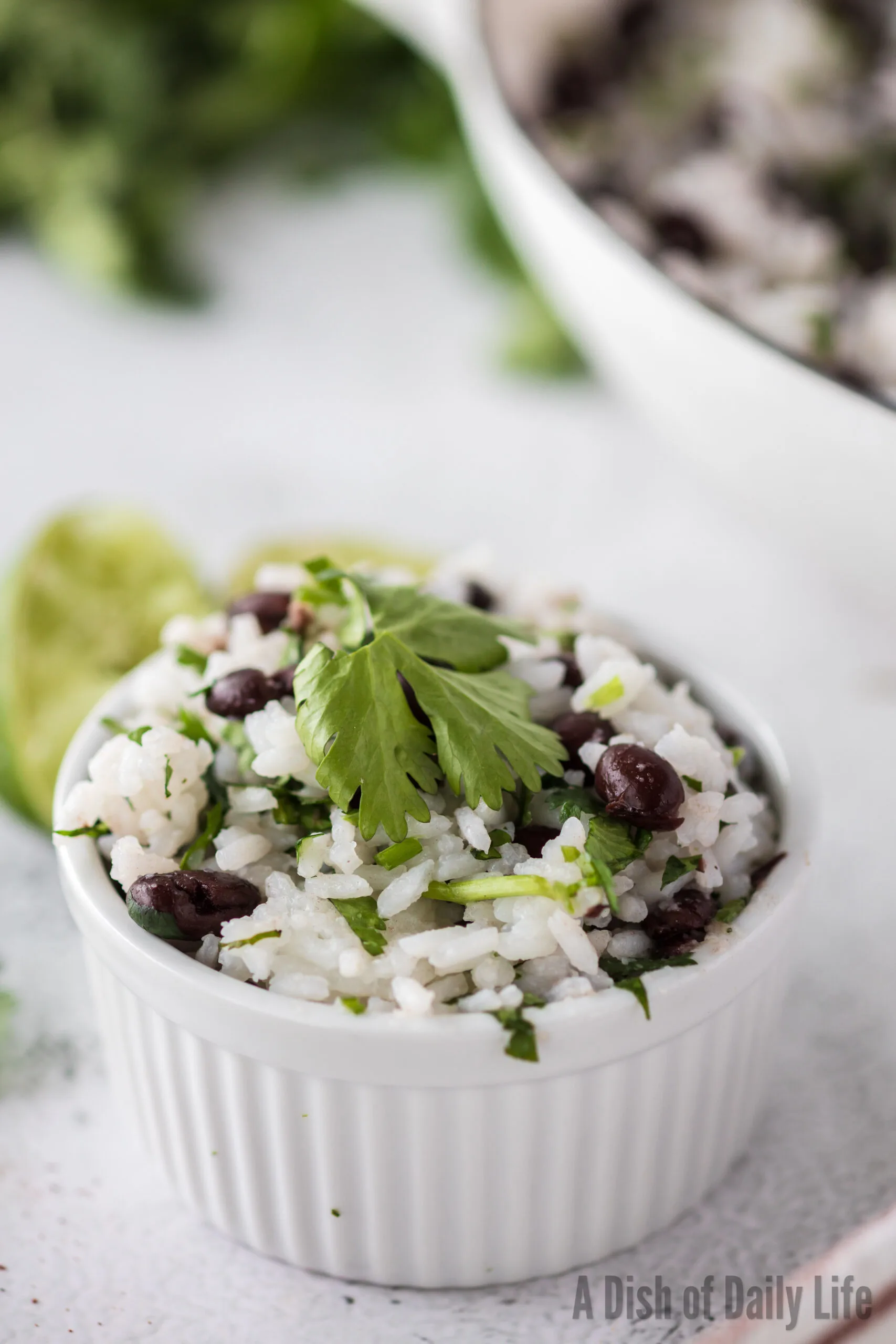 small bowl full of black beans and rice