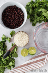 All ingredients laid out on the counter, ready to cook.
